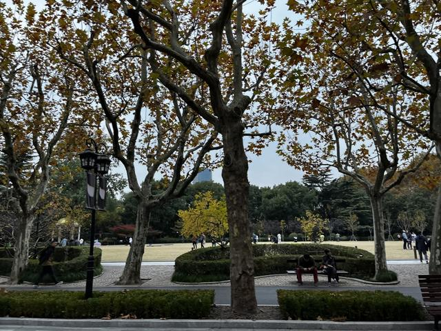 复兴公园，张熠摄