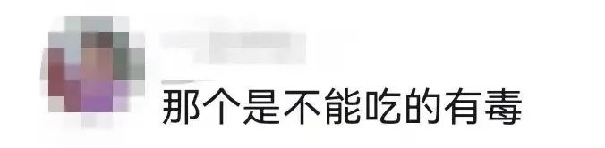 图片来源：网友评论