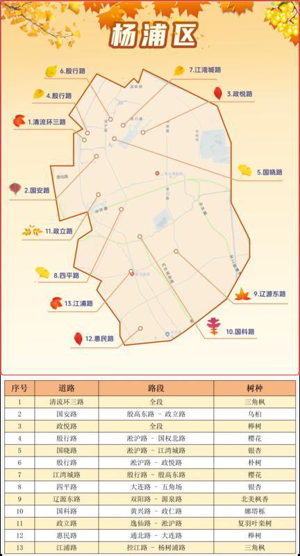 復興公園1452號懸鈴木,豫園1216號石榴,涇南公園0003號銀杏,高行鎮高