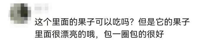 图片来源：网友评论