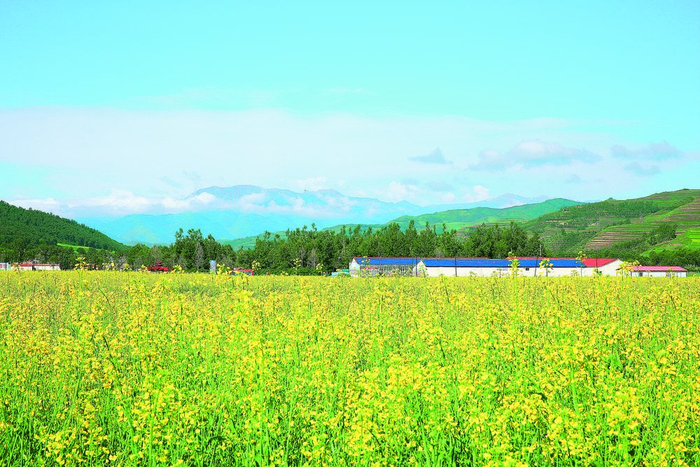 美丽田园.本版图片由大通县委宣传部,大通县住建局,星小花提供