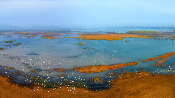 （拍摄：张明云）