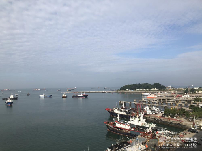 （阳江闸坡渔港。洪晓文/摄）