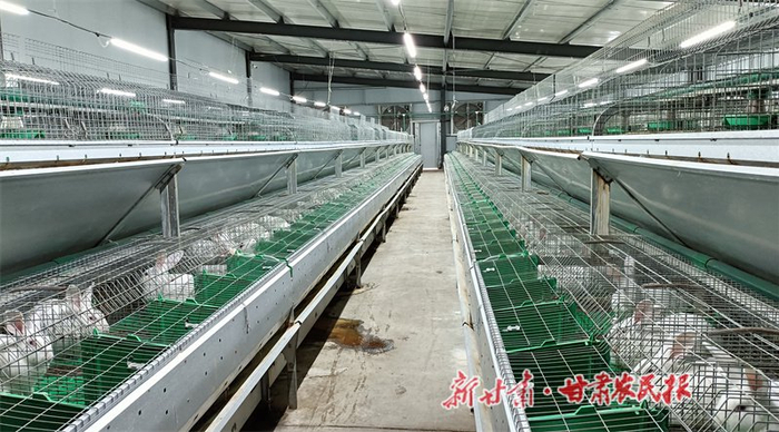 　　康大肉兔养殖场。