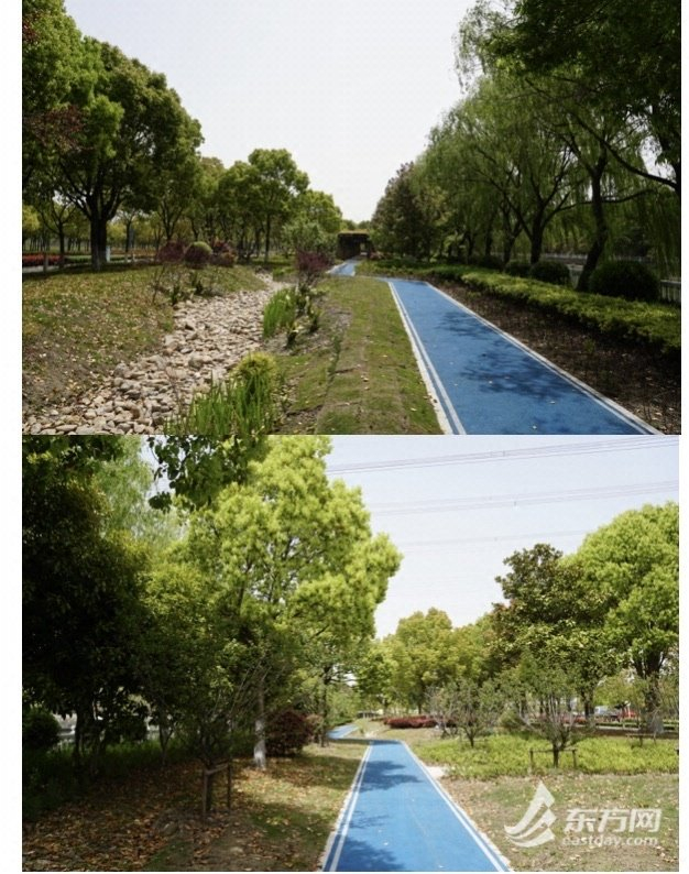 梅陇镇莲花南路两侧(春申塘—向阳路)绿道的建成,成为附近居民享受"慢