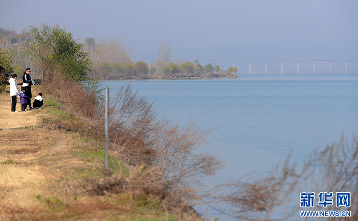   11月26日，洛阳市孟津区黄河生态廊道，游客在游玩。