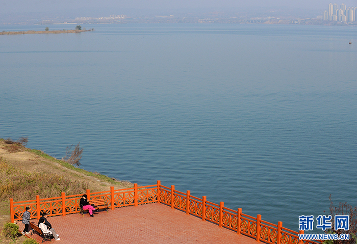   11月26日，在洛阳市孟津区拍摄的黄河生态廊道一角。