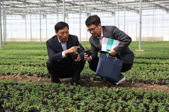 图片说明：农行辽宁分行把“阳光办贷”开进田间地头。（企业供图）