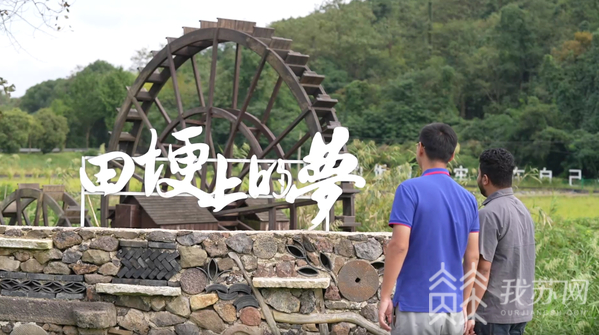 戴庄村白沙高标准农田