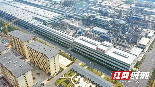 ▲新田县产业开发区内的湖南鲁丽绿色新材料科技产业园。