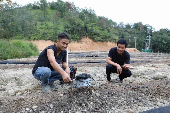 谢有奎（右）和技术人员一起，观察蚯蚓的长势。