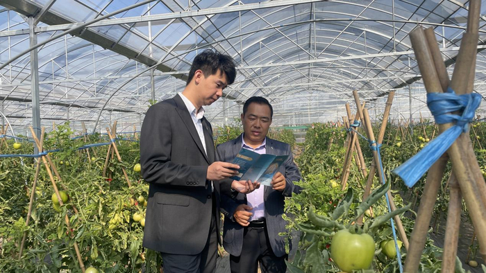 　　 图说：广发银行合肥分行驻村干部王晨熙向李尚东问询发展所需。