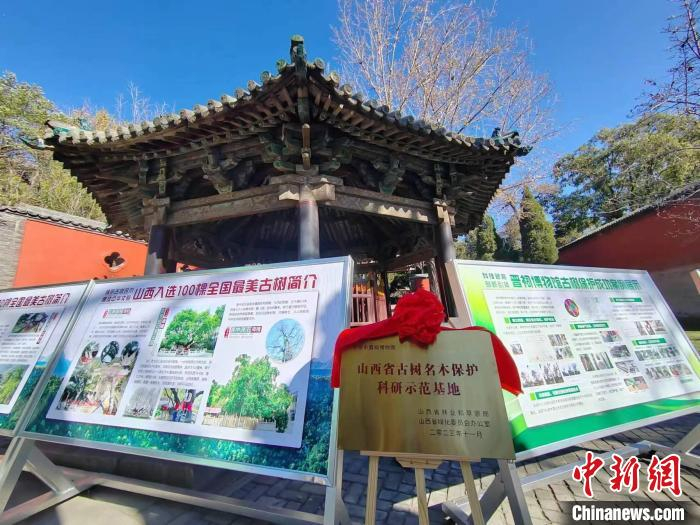近日，晋祠博物馆被授予“山西省古树名木保护科研示范基地”称号。高雨晴 摄