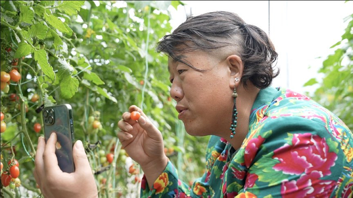 身着女款上衣、梳着辫子、戴着大耳环的郭从锋经常直播售卖小番茄。 薛童 | 摄