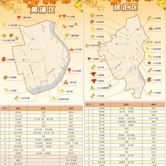 赏秋地图节选（来源：“绿色上海”公众号）