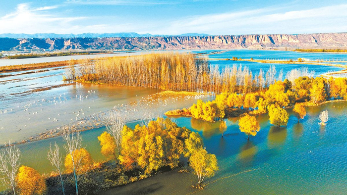 三门峡灵宝段黄河湿地聂冬晗 段景波 摄