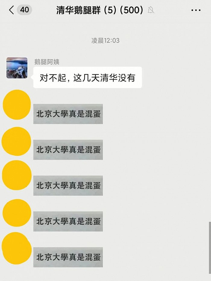 ▲ 鹅腿阿姨群内，同学们在玩梗。图 / 微博