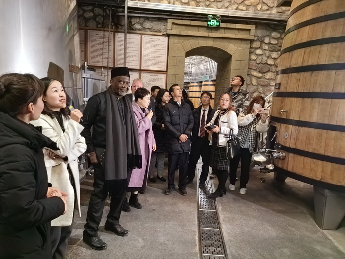 驻华使节、外交官和外国地方驻华机构代表在参观酒窖。 人民网记者 梁宏鑫摄