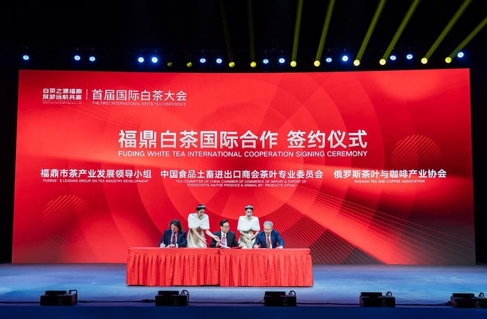 图为“福鼎白茶国际合作”签约仪式