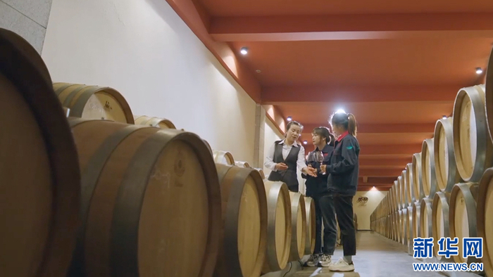 葡萄酒产业是闽宁镇的支柱产业之一，图为闽宁镇的立兰酒庄酒窖。新华网发（厦门市思明区委宣传部供图）