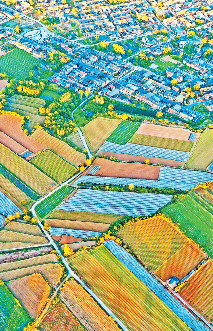 孟州市赵和镇苏庄村周边的广袤田野白水平 摄