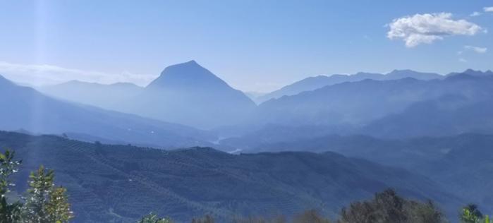 图 / 三只松鼠 · 云南夏威夷果种植基地