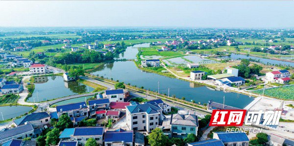 如今的杨家山村碧水清波,岸绿整洁,处处成景.