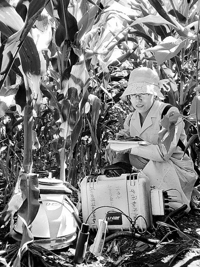 梁爱珍在测定土壤二氧化碳排放量。资料图片