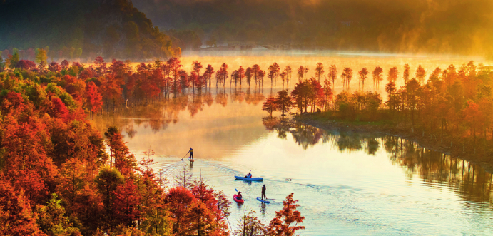 宁国市方塘乡红杉林，是“皖南川藏线”上的网红打卡地 （2023 年 11 月 12 日摄）李晓红 摄