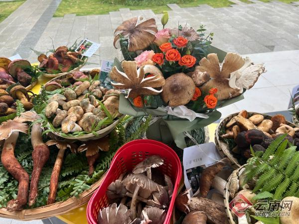 家长学生共同制作的“野生菌花束” 供图