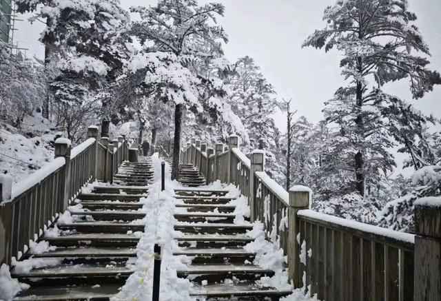 西岭雪山（图源西岭雪山景区）