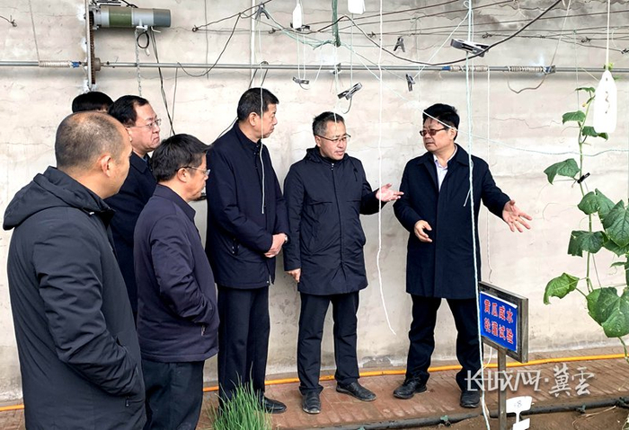 张国新（右二）介绍黄瓜咸水轮灌技术。河北省农林科学院供图
