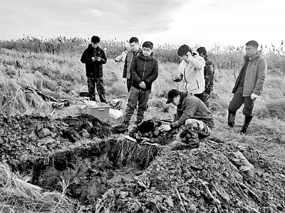 团队成员在进行土壤剖面调查。资料图片