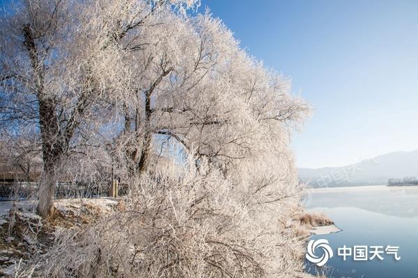 近日,吉林松花江畔氣溫走低,現霧凇美景.(圖/朱萬昌)