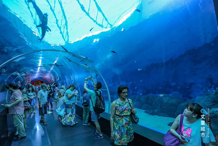 名胜世界·S.E.A水族馆拥有世界最大深海观景区