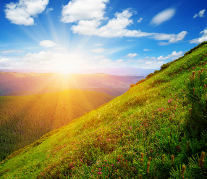 图片来源：东方IC