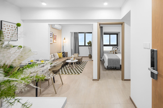 两室户/一室一厅