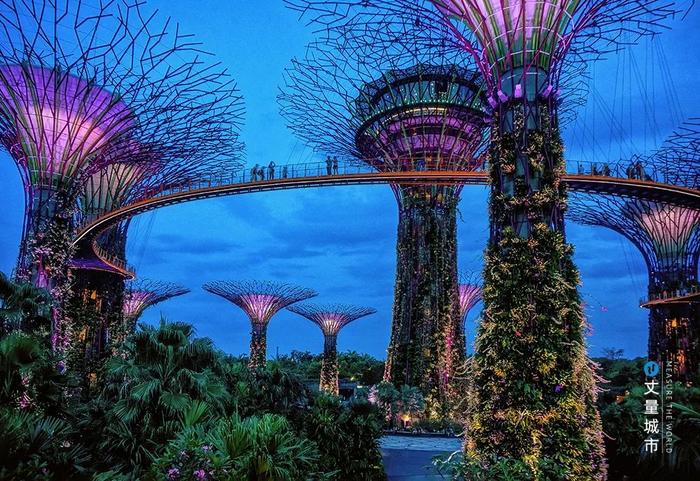 花园设有18棵「超级树」，并以空中步道串联