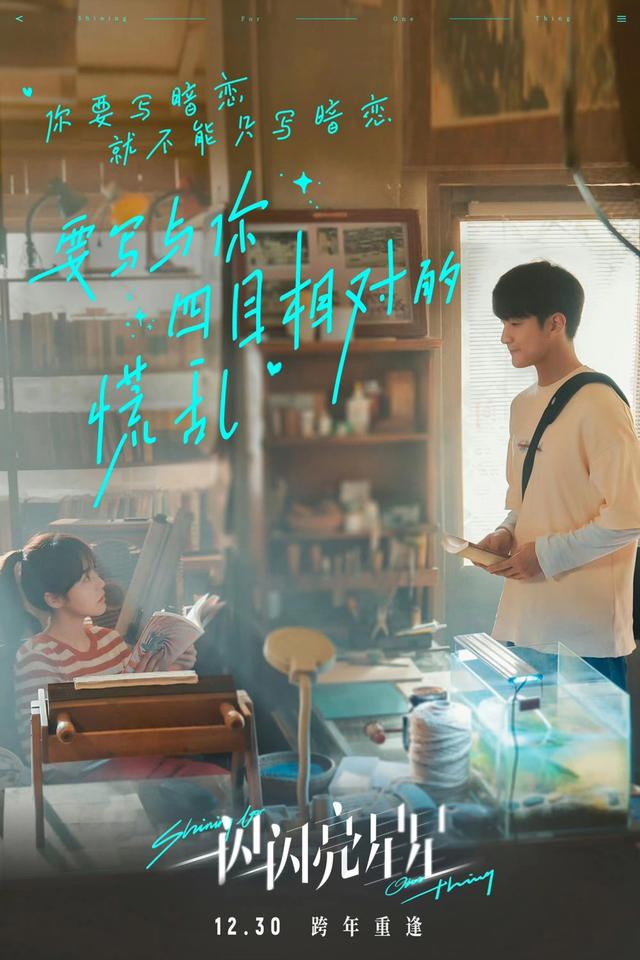 电影《一闪一闪亮星星》海报