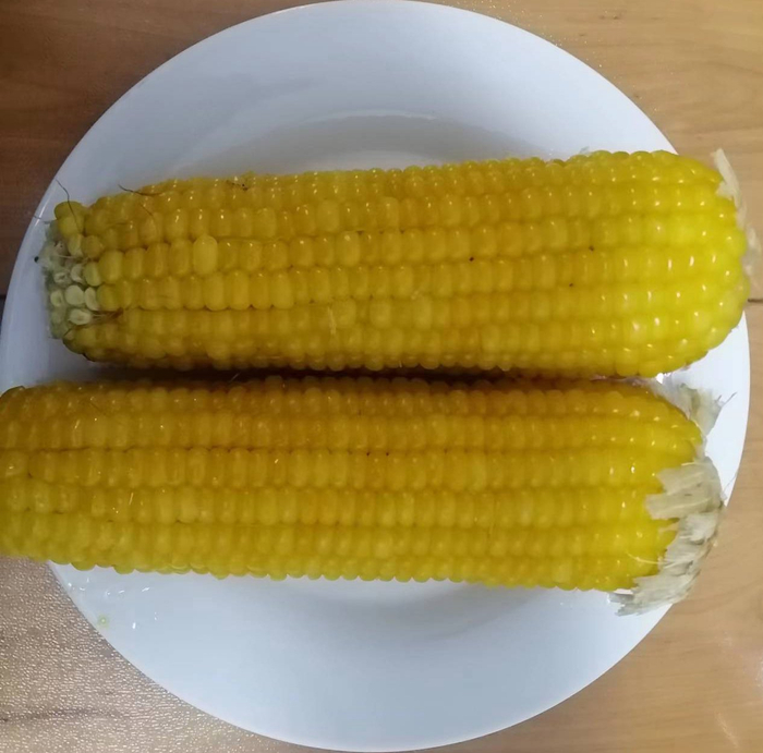 血糖高的人想吃玉米，可以用甜玉米当主食。李建/摄