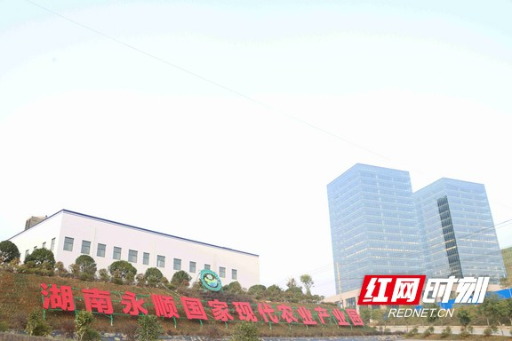永顺国家现代农业产业园。