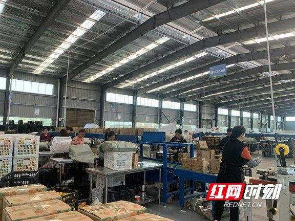 永顺县菜鸟产地仓。