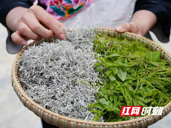 永顺莓茶。