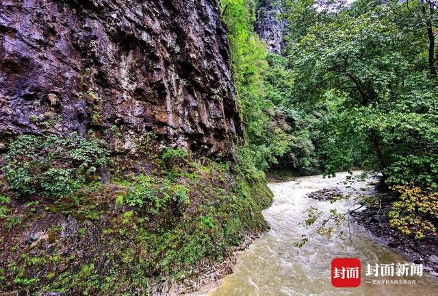 米仓道旁边的“韩溪河”。曾业 摄