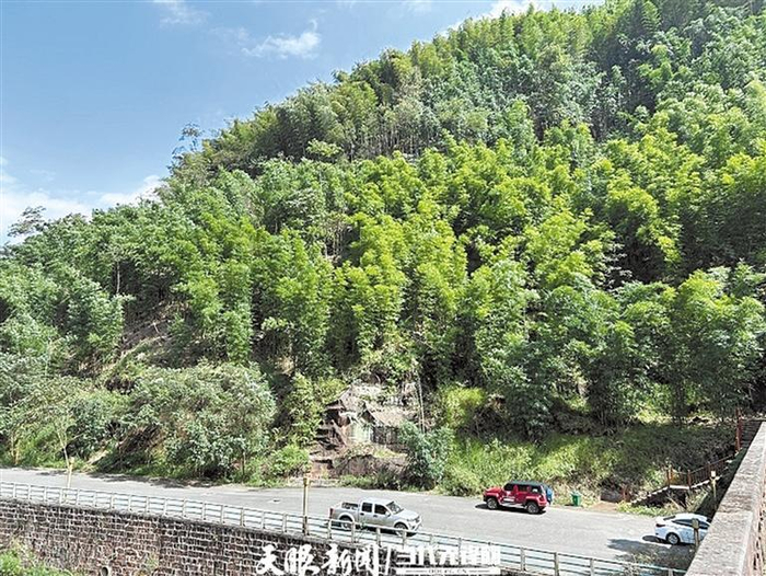     竹林环绕的黎明村，森林覆盖率达97%。 张弘弢 摄