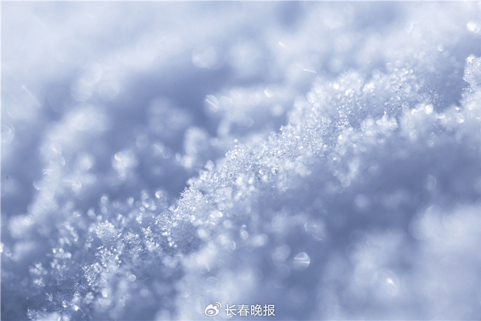 晶莹剔透，粒粒分明 图片来源：图虫创意