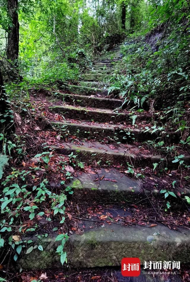 保留完好的米仓古道。曾业 摄