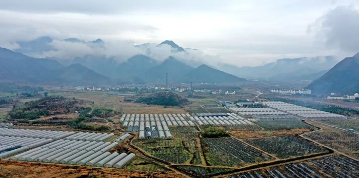 台州市仙居县台湾农民创业园双庙乡大棚果蔬基地。图源 视觉中国
