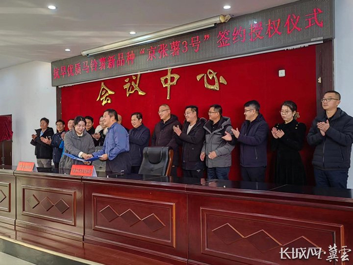 张家口市农科院召开马铃薯新品种“京张薯3号”于省内外16家企业签约仪式。张家口市农科院供图