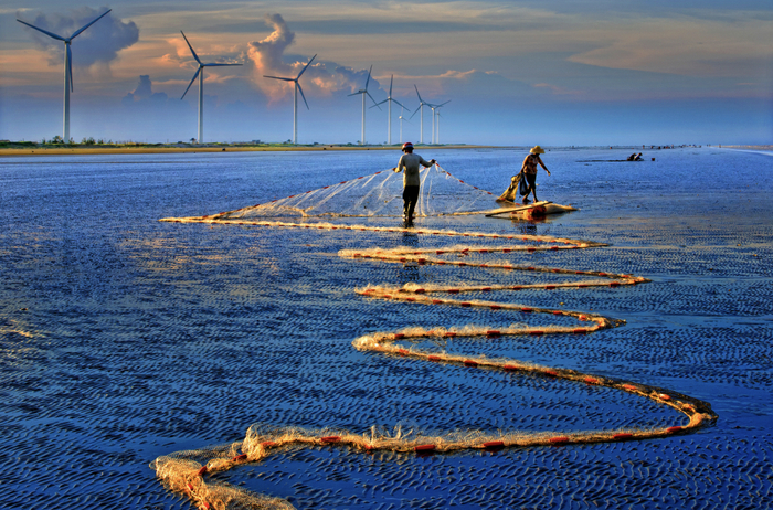 追潮赶海渔获丰 洪国春摄